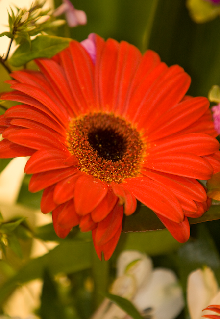 IMG 4926 Edit